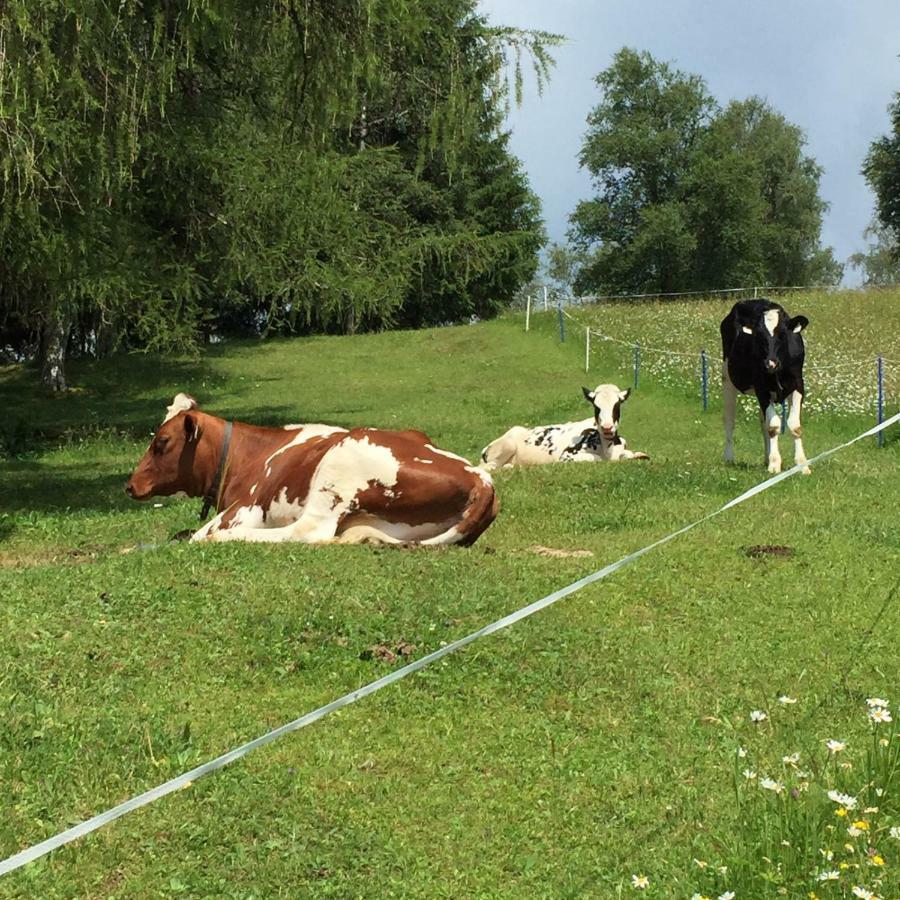 Schneiderhof Villa Seefeld in Tirol Eksteriør billede